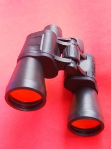 Proactive Marketing Executive