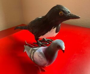 Magpies and pigeons - leadership styles maverick magpies and predictable pigeons