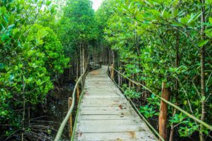 Strategic thinking – It’s a jungle out there McKinsey’s “Managing the strategy journey” says spend more time on strategy