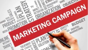 Five questions from a campaign, thought leadership and project management workshop