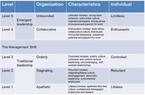 Emergent leadership model
