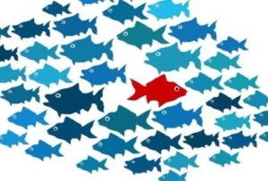 Pitching, differentiation and competitor analysis