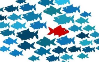 Pitching, differentiation and competitor analysis