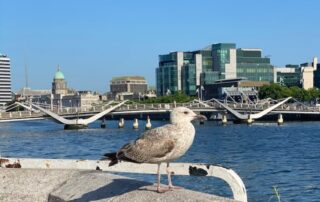 Being more strategic - Case studies and insights (Ireland May 2023)