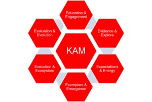 Key Account Management (KAM) – Research companies, use KAM technology and maintain momentum