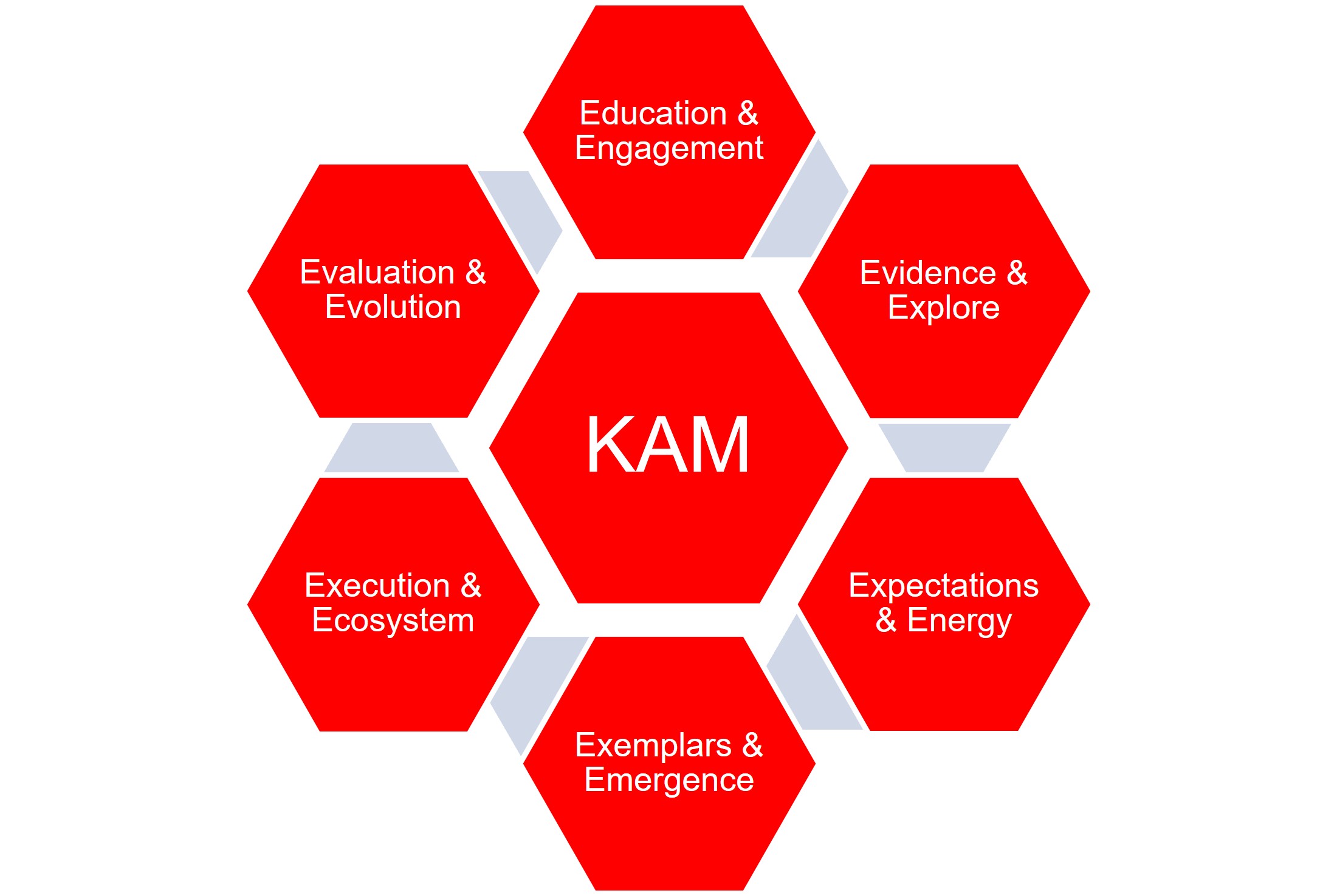 Key Account Management (KAM) – Research companies, use KAM technology and maintain momentum