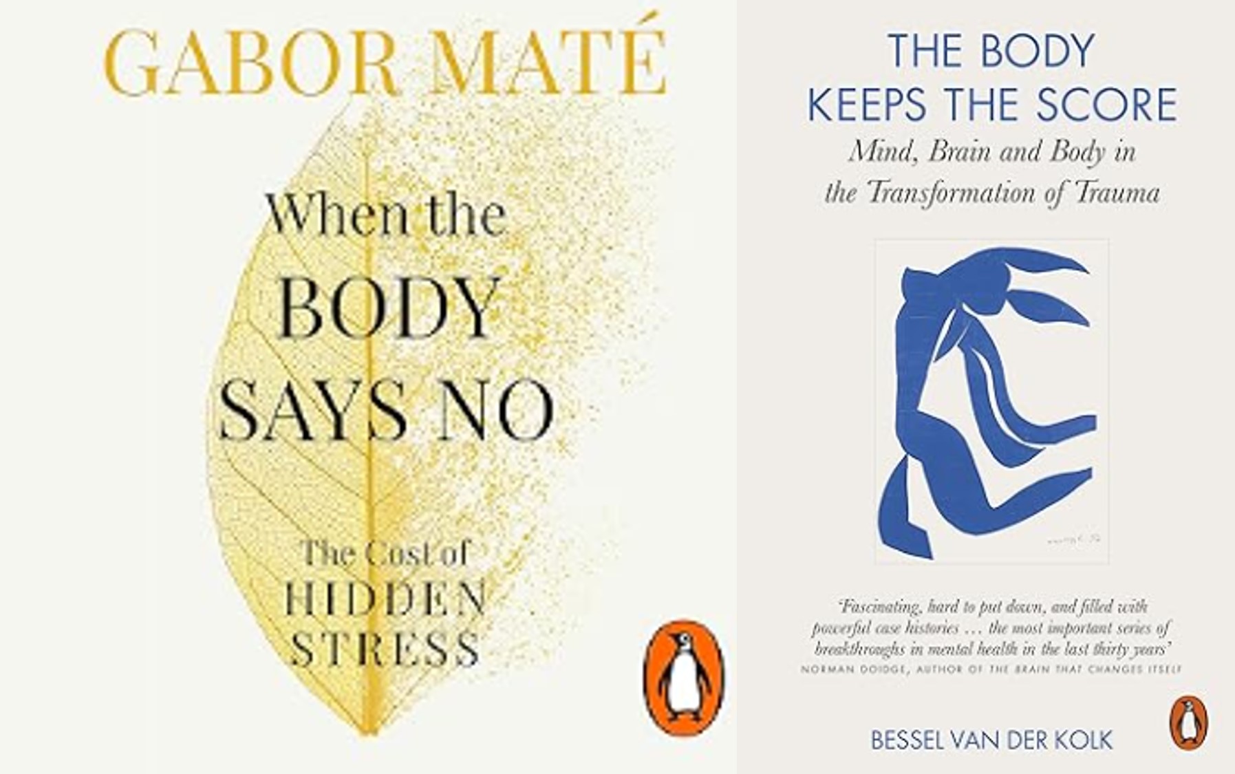 Book reviews on stress and trauma – “When the body says No” (Gabor Mate) and “The body keeps the score” (Dr Bessel Van der Kolk)