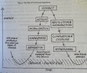 Gestalt experience - Fertile Void coaching book