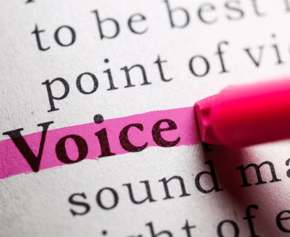 Persuasive writing – Brand Voice and Tone of Voice - Persuasive writing