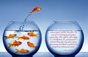 Future Marketing and Business Development Manager – Transition from technical expert to adviser