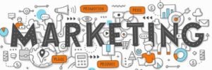 Aims of Marketing and BD (MBD) Assistants: Knowledge, specialisation, decision-making processes and relationships