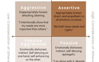 Assertiveness - Confidence - Effectiveness - Communication skills