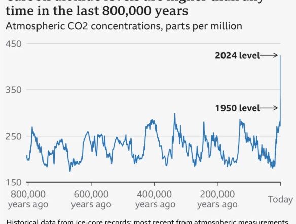 Responsible marketing: Climate change, carbon literacy and sustainability